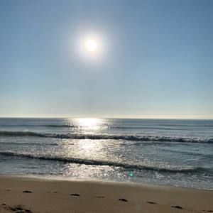 Meet your Posher, Lee